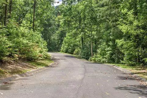 0 Golden Ln, Clarkesville, GA 30523 photo 6