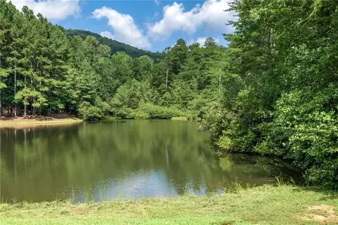 0 Golden Ln, Clarkesville, GA 30523 photo 11