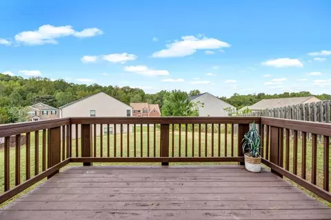 11119 Torino Dr, Hampton, GA 30228 photo 16