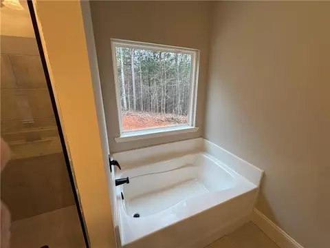 250 Willow Leaf Dr, Buchanan, GA 30113 photo 15