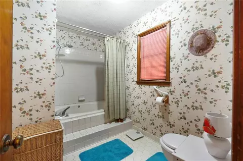 Bath - 113 Bridget Dr, Hampton, GA 30228 photo 2 of 4