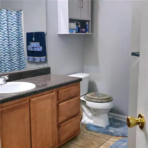 2403 Brianna Dr, Hampton, GA 30228 photo 19
