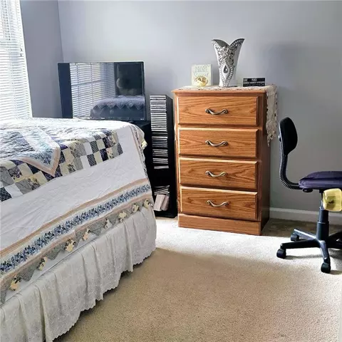 2403 Brianna Dr, Hampton, GA 30228 photo 23