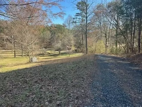 65 Nally Rd, Rydal, GA 30171