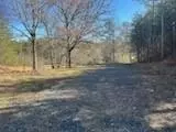 65 Nally Rd, Rydal, GA 30171 photo 12