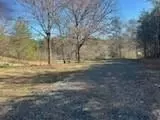 65 Nally Rd, Rydal, GA 30171 photo 13