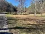 65 Nally Rd, Rydal, GA 30171 photo 4