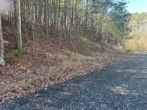 65 Nally Rd, Rydal, GA 30171 photo 21