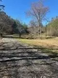 65 Nally Rd, Rydal, GA 30171 photo 18