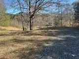 65 Nally Rd, Rydal, GA 30171 photo 11