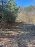 65 Nally Rd, Rydal, GA 30171 photo 16