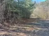 65 Nally Rd, Rydal, GA 30171 photo 15
