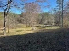 65 Nally Rd, Rydal, GA 30171 photo 9
