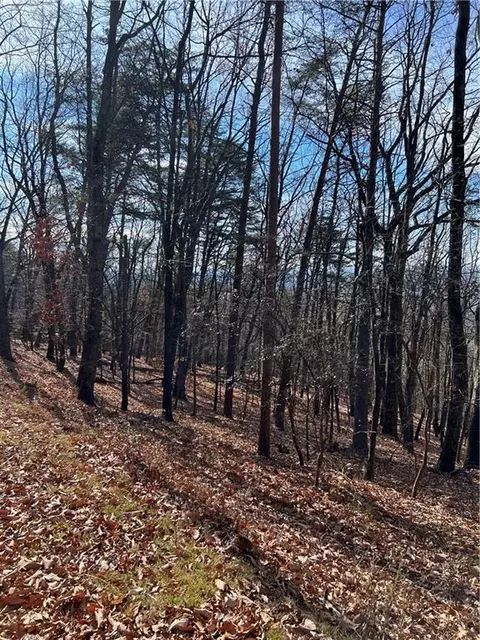 1520 Moss Patch Trl, Jasper, GA 30143 photo 6