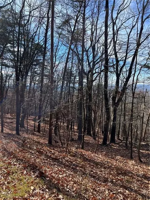 1520 Moss Patch Trl, Jasper, GA 30143 photo 7