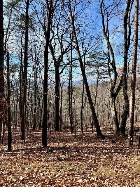 1520 Moss Patch Trl, Jasper, GA 30143 photo 2