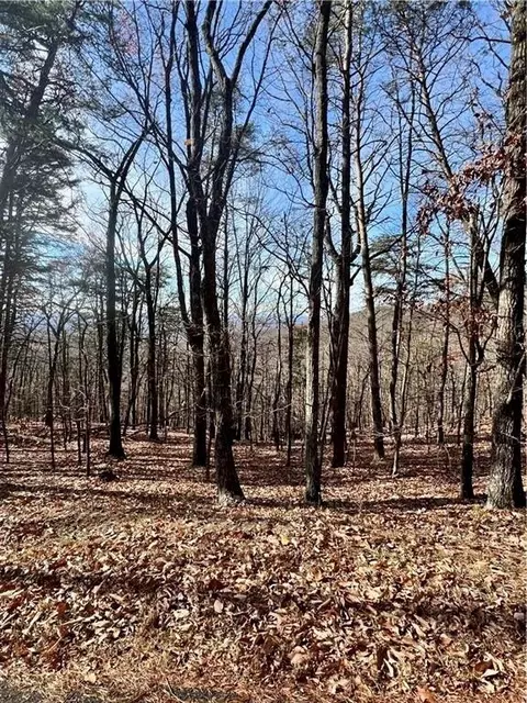1520 Moss Patch Trl, Jasper, GA 30143 photo 3