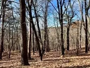 1520 Moss Patch Trl, Jasper, GA 30143