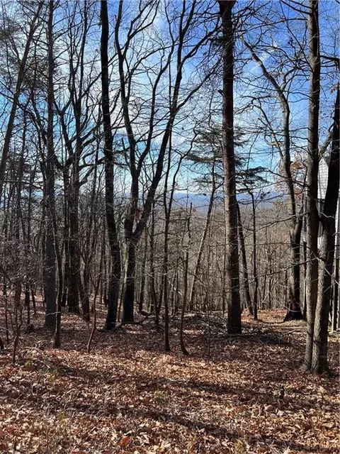 1520 Moss Patch Trl, Jasper, GA 30143 photo 8