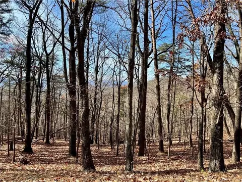 1520 Moss Patch Trl, Jasper, GA 30143 photo 4