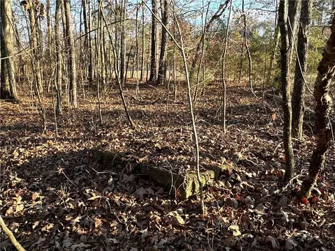 0 Buttermilk Rd, Cave Spring, GA 30124 photo 31