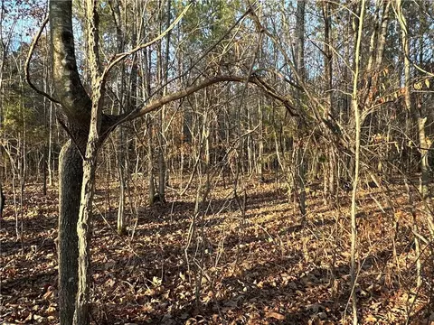 0 Buttermilk Rd, Cave Spring, GA 30124 photo 24