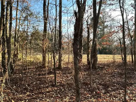 0 Buttermilk Rd, Cave Spring, GA 30124 photo 25
