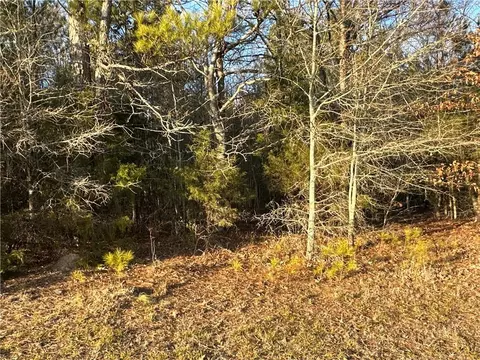 0 Buttermilk Rd, Cave Spring, GA 30124 photo 35