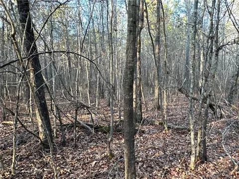 0 Buttermilk Rd, Cave Spring, GA 30124 photo 22