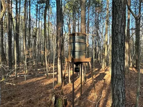 0 Buttermilk Rd, Cave Spring, GA 30124 photo 12