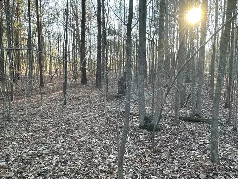 0 Buttermilk Rd, Cave Spring, GA 30124 photo 20