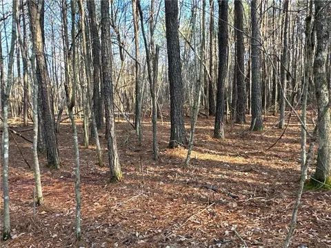 0 Buttermilk Rd, Cave Spring, GA 30124 photo 13