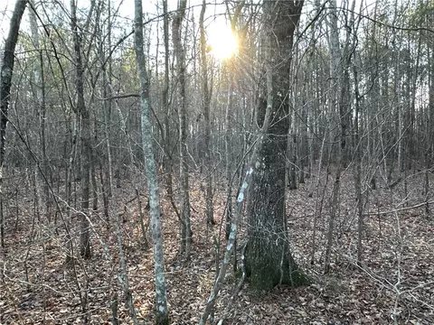 0 Buttermilk Rd, Cave Spring, GA 30124 photo 14