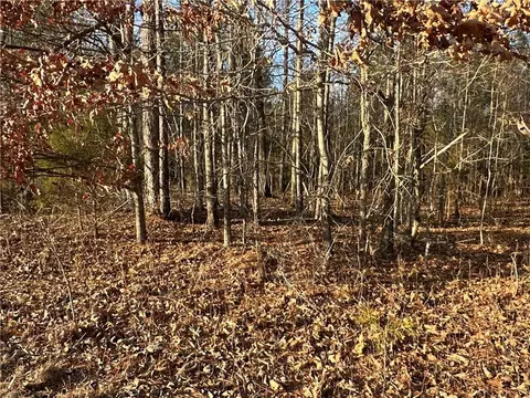0 Buttermilk Rd, Cave Spring, GA 30124 photo 29