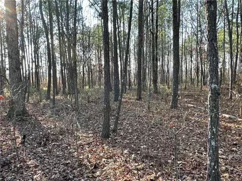 0 Buttermilk Rd, Cave Spring, GA 30124 photo 9