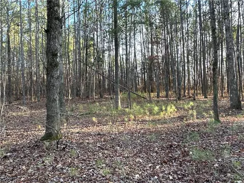 0 Buttermilk Rd, Cave Spring, GA 30124 photo 7