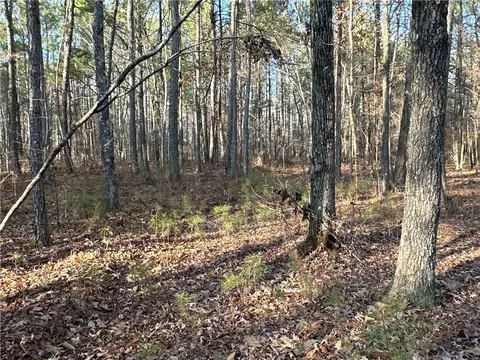 0 Buttermilk Rd, Cave Spring, GA 30124 photo 8