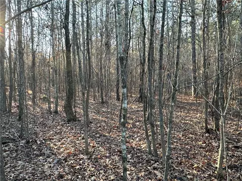 0 Buttermilk Rd, Cave Spring, GA 30124 photo 21