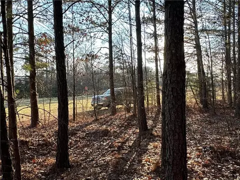 0 Buttermilk Rd, Cave Spring, GA 30124 photo 3