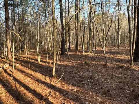 0 Buttermilk Rd, Cave Spring, GA 30124 photo 11