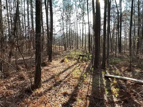 0 Buttermilk Rd, Cave Spring, GA 30124 photo 6