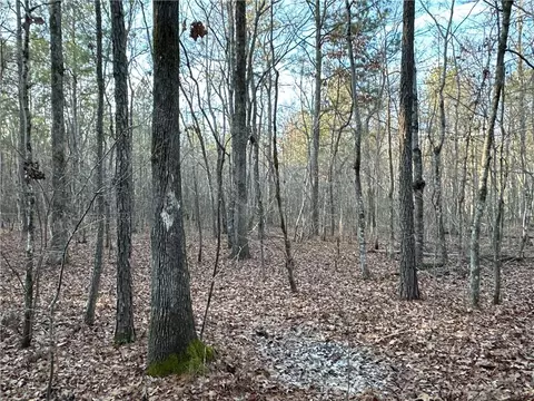 0 Buttermilk Rd, Cave Spring, GA 30124 photo 17