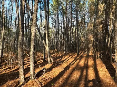 0 Buttermilk Rd, Cave Spring, GA 30124 photo 5