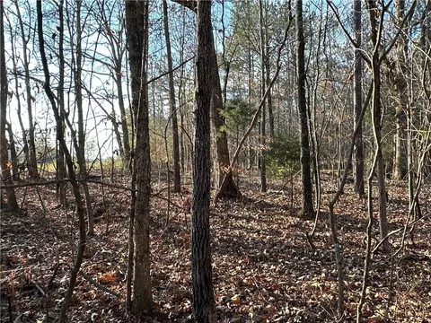 0 Buttermilk Rd, Cave Spring, GA 30124 photo 23