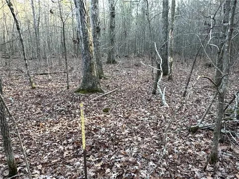 0 Buttermilk Rd, Cave Spring, GA 30124 photo 16