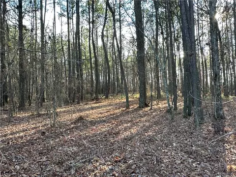 0 Buttermilk Rd, Cave Spring, GA 30124 photo 10