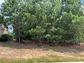4864 Grandview Ct, Flowery Branch, GA 30542
