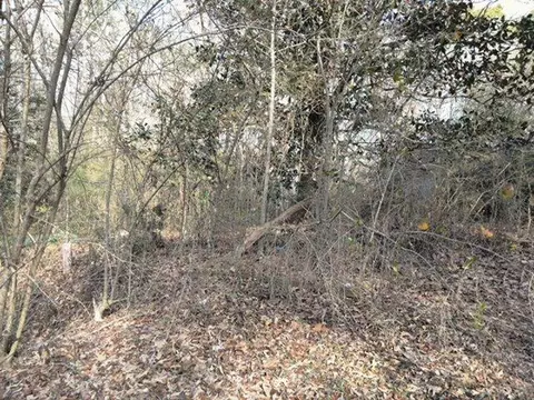 1156 Stephenson Rd, Stonecrest, GA 30087