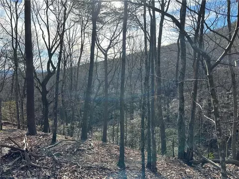 Lt1141 Oglethorpe Mountain Road, Jasper, GA 30143 photo 4