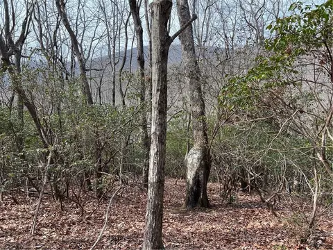 lot4 Monument Falls Rd, Jasper, GA 30143